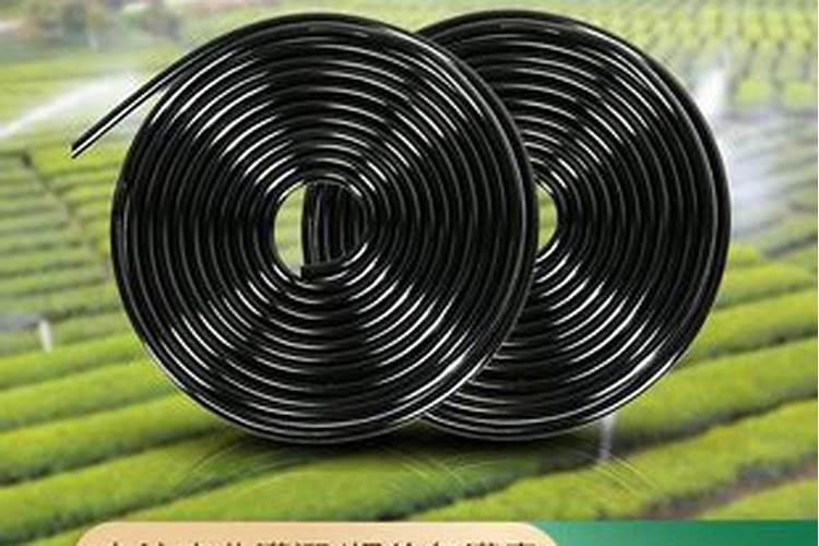 放筷子的盒子叫什么