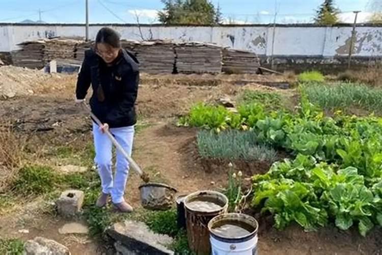 水溶肥直接撒在土表面行吗,会不会造成肥料浪费或烧苗？