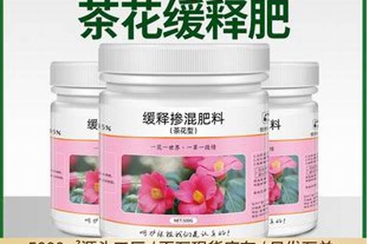 茶花施肥用什么肥料