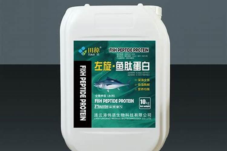 鱼蛋白自制配方