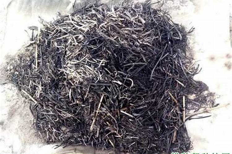 重楼用什么肥料