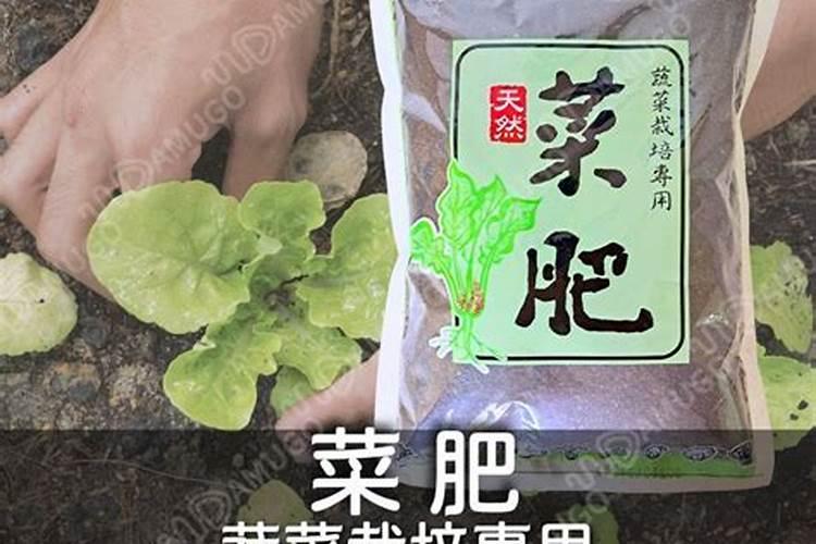 如何给菜施肥
