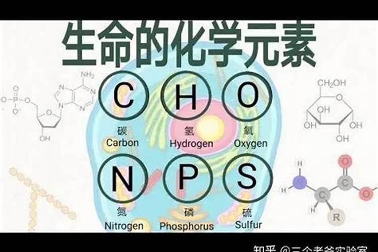 大量元素,主要元素,基本元素,最基本元素.