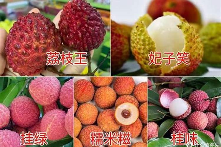 荔枝施什么肥料最好