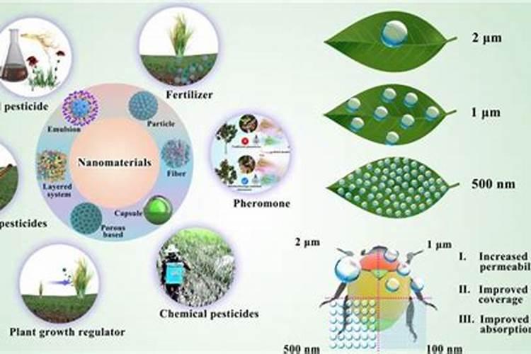菜枯肥的肥性强不强？它是磷肥、氮肥、还是钾肥？对于兰草应当怎样施用...