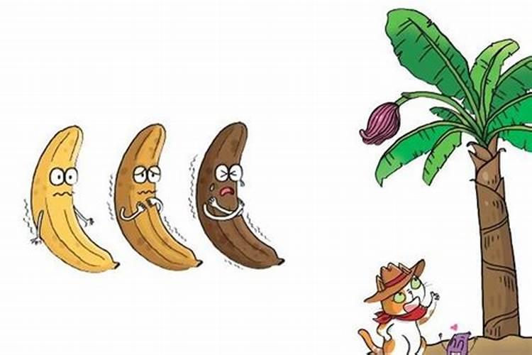 香蕉皮是磷肥还是钾肥