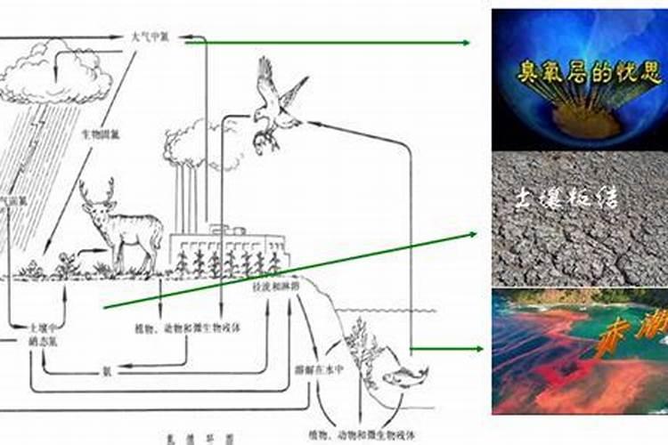 如何科学施用氮肥 氮肥如何施肥