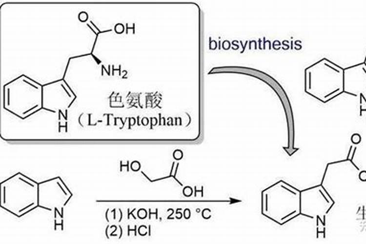 小麦在什么期间可打叶面肥？