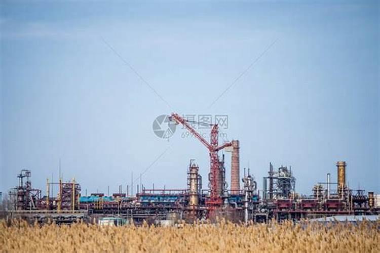 全国20强化肥厂在湖北建有生产基地的厂家有哪些？