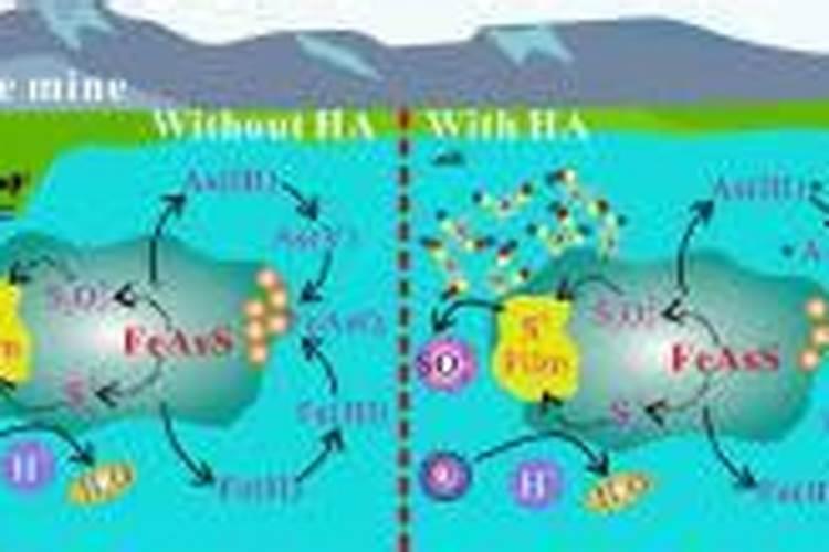 求腐殖酸的国家标准