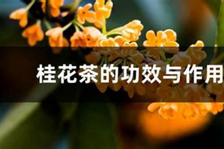 尿素是氮肥还是磷肥