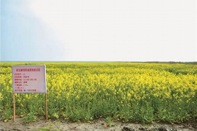 江西微量元素叶面肥木醋液