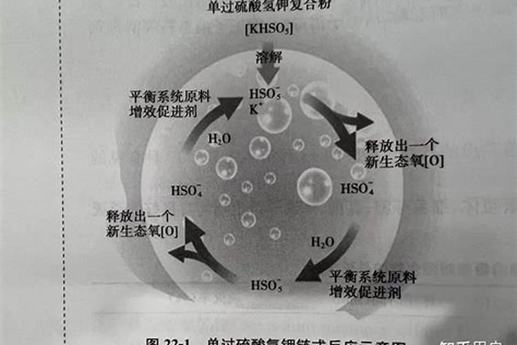 大蒜收获前一个星期能打膨大素么？