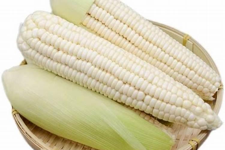 玉米打叶面肥用进口叶面肥用哪个国家的好