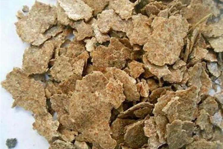 大棚种黄瓜菜籽饼和什么肥料铺底最好