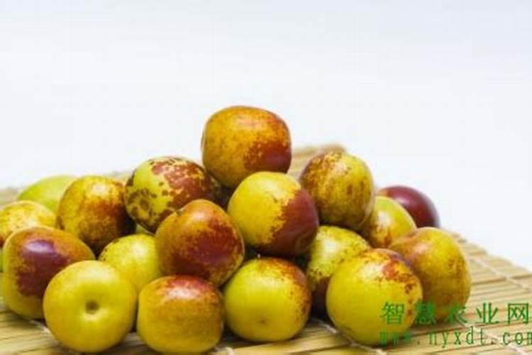 冬枣叶面肥有哪些