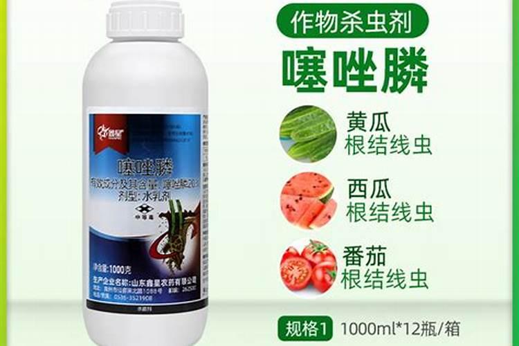 专家根线虫怎么治啊