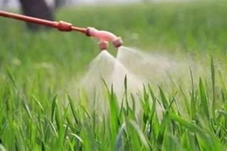 尿素打叶面肥一亩地用多少量