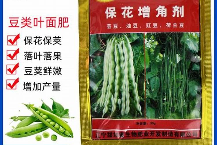 芸豆喜欢什么叶面肥