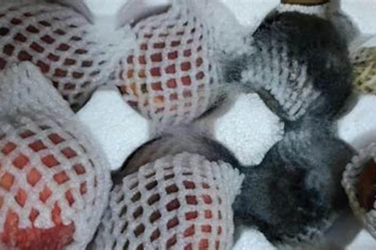 自制钾肥有哪些种类