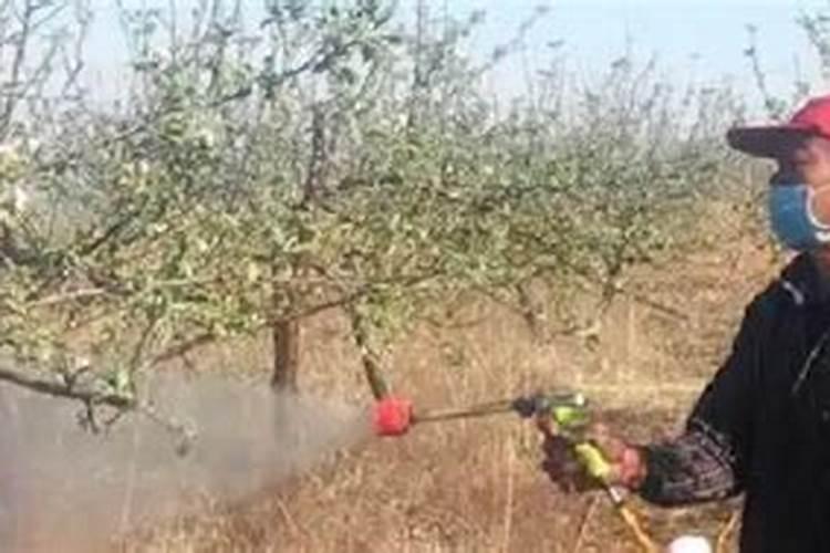 养花,硫酸亚铁的正确使用