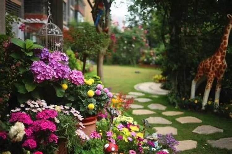 氮肥养花的作用