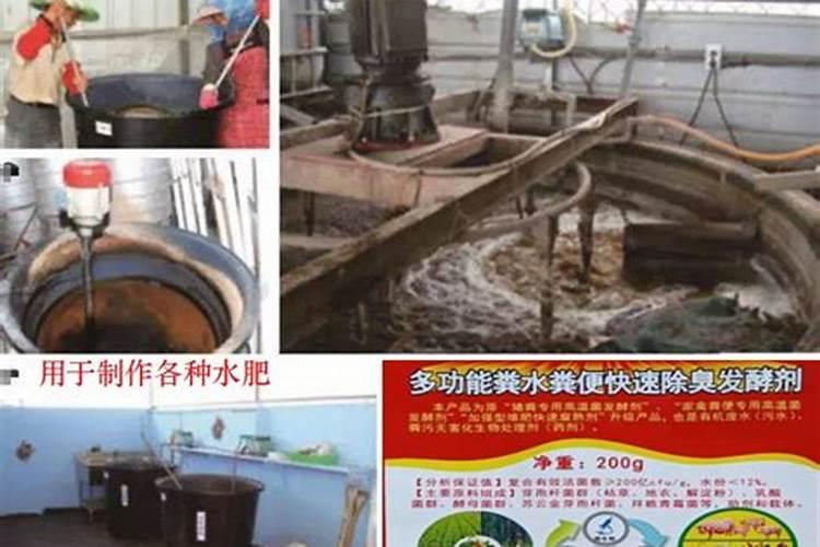 简单自制氮肥的具体方法是什么