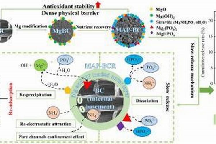 幼鸟吃完后拉的白色囊是什么成分？