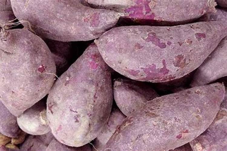 种紫红薯应该施哪种肥料呀？
