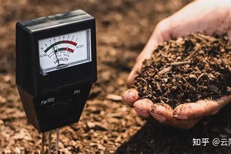 土壤氮的调控和管理