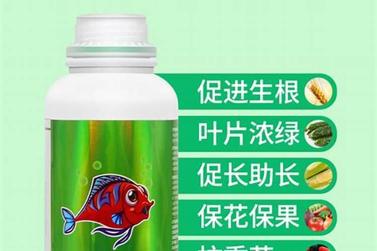 西瓜伸蔓期要注意什么？