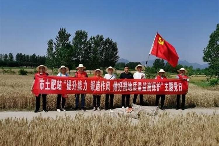 营养餐供应与土肥站的关系