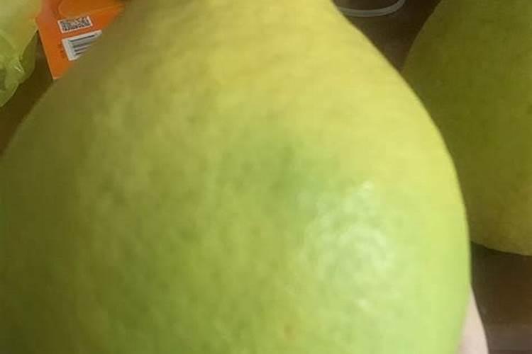 沙田柚主要有哪些病虫害