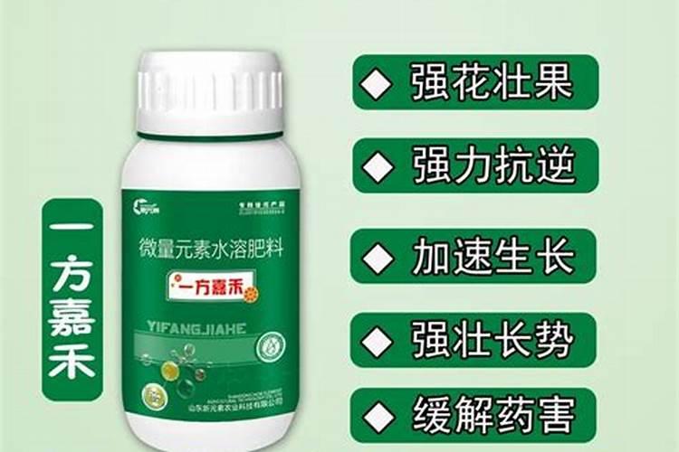 内脂是什么做的 内脂的制作材料