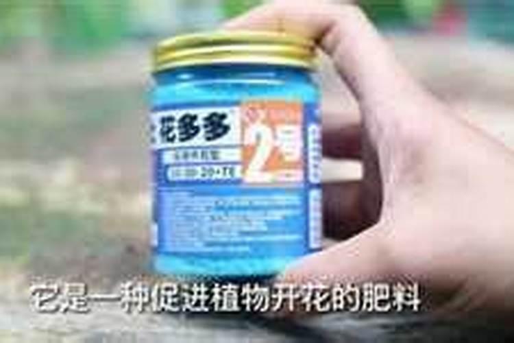 养花需要施什么肥料、肥料怎么施肥效果好