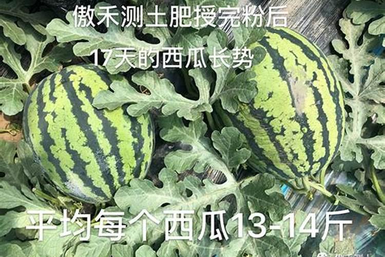 磷酸二氢钾、硫酸钾、复合肥可以一起用吗？