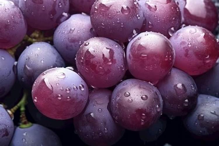 作物使用鱼蛋白肥会有什么效果？