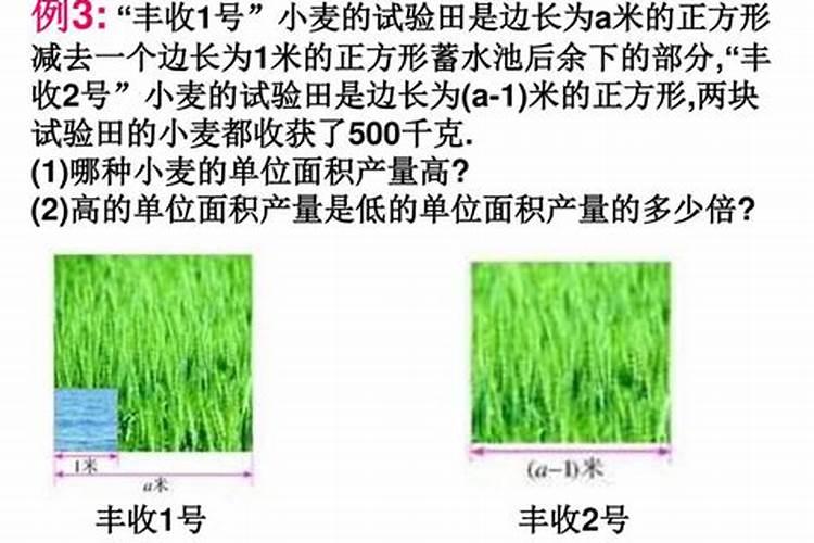 茄子叶子黄怎么办