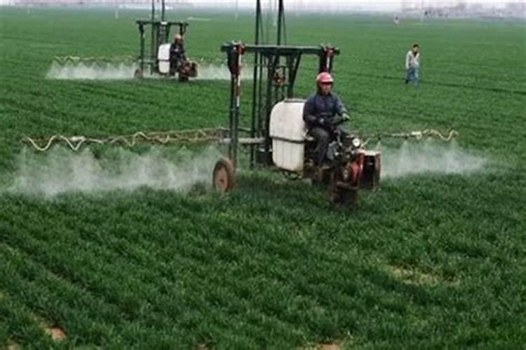 钾肥的肥效是多长时间