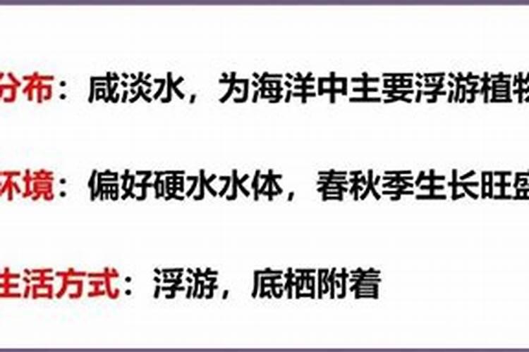 虾塘绿藻处理方法