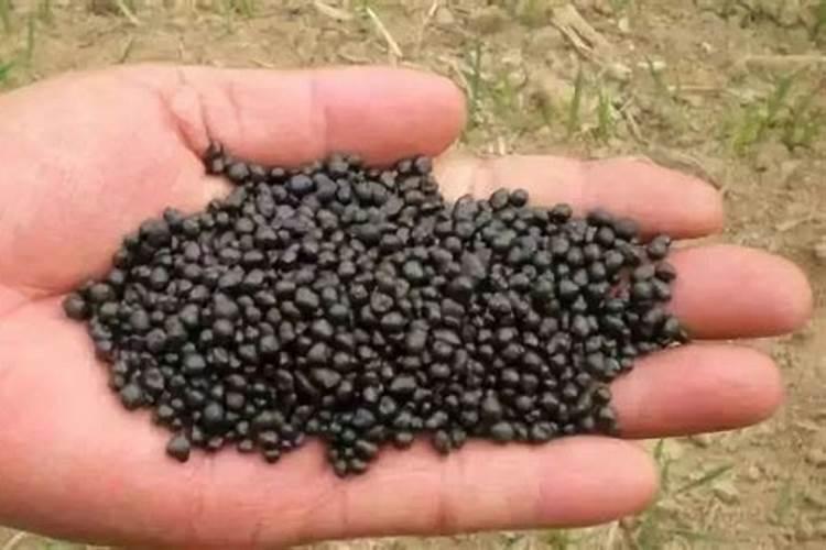 如何判断豆粕有机肥的真假