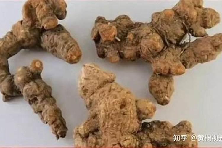 苍术苗从打种植到采收一般得多长时间？