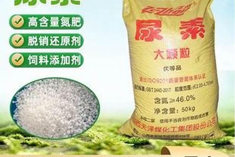 磷酸二氢钾这样用,壮苗增产效果翻倍!