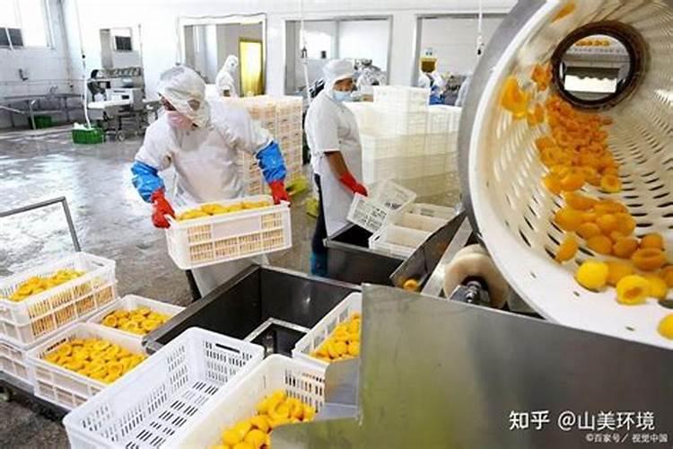 施高钾水溶肥有很多讲究,什么时候施用效果好呢？