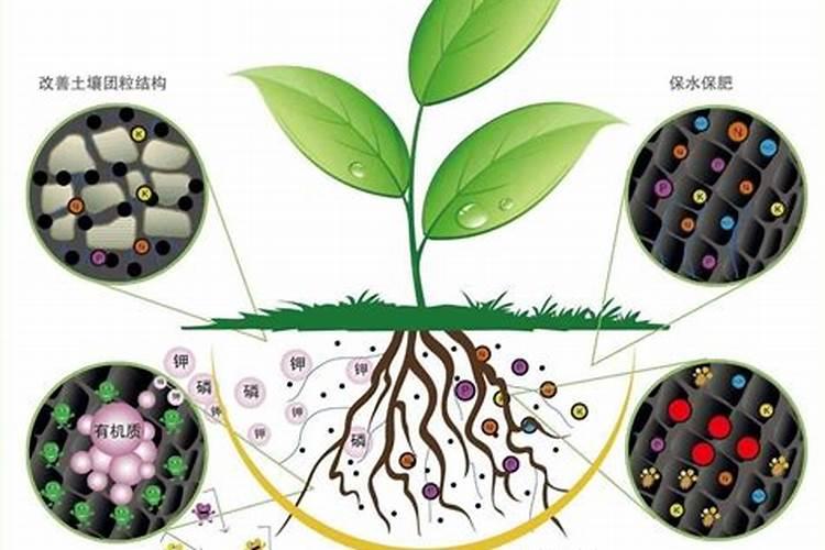 腐植酸的功效与作用肥料