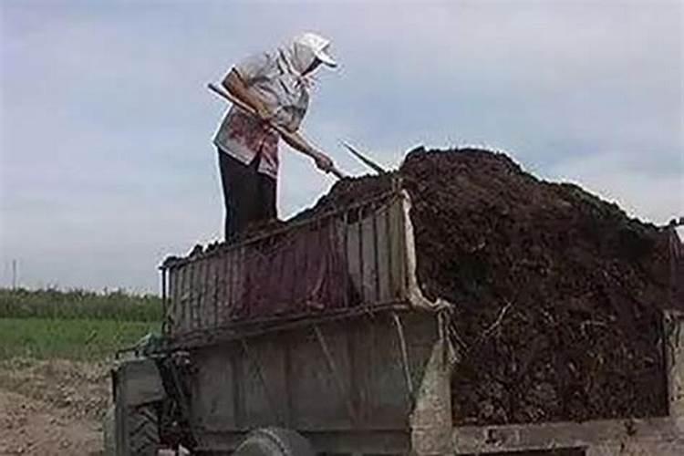 蚯蚓粪肥正确使用方法