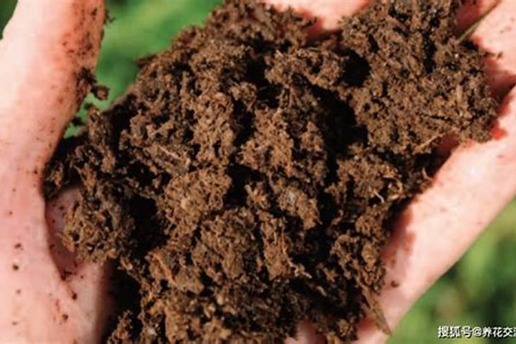 蚯蚓粪肥的使用方法