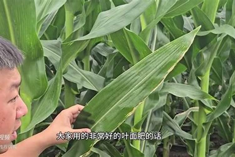 水溶肥的配方和制作方法