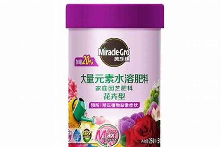 买花送小袋肥料多少克一袋