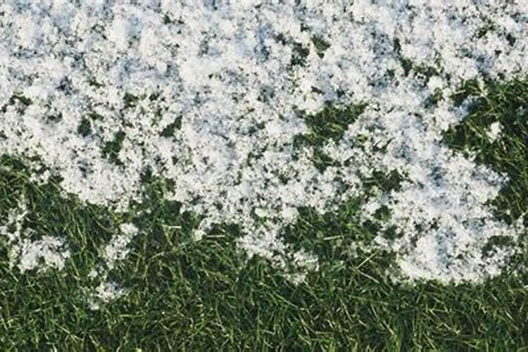 草坪冬天要施肥吗